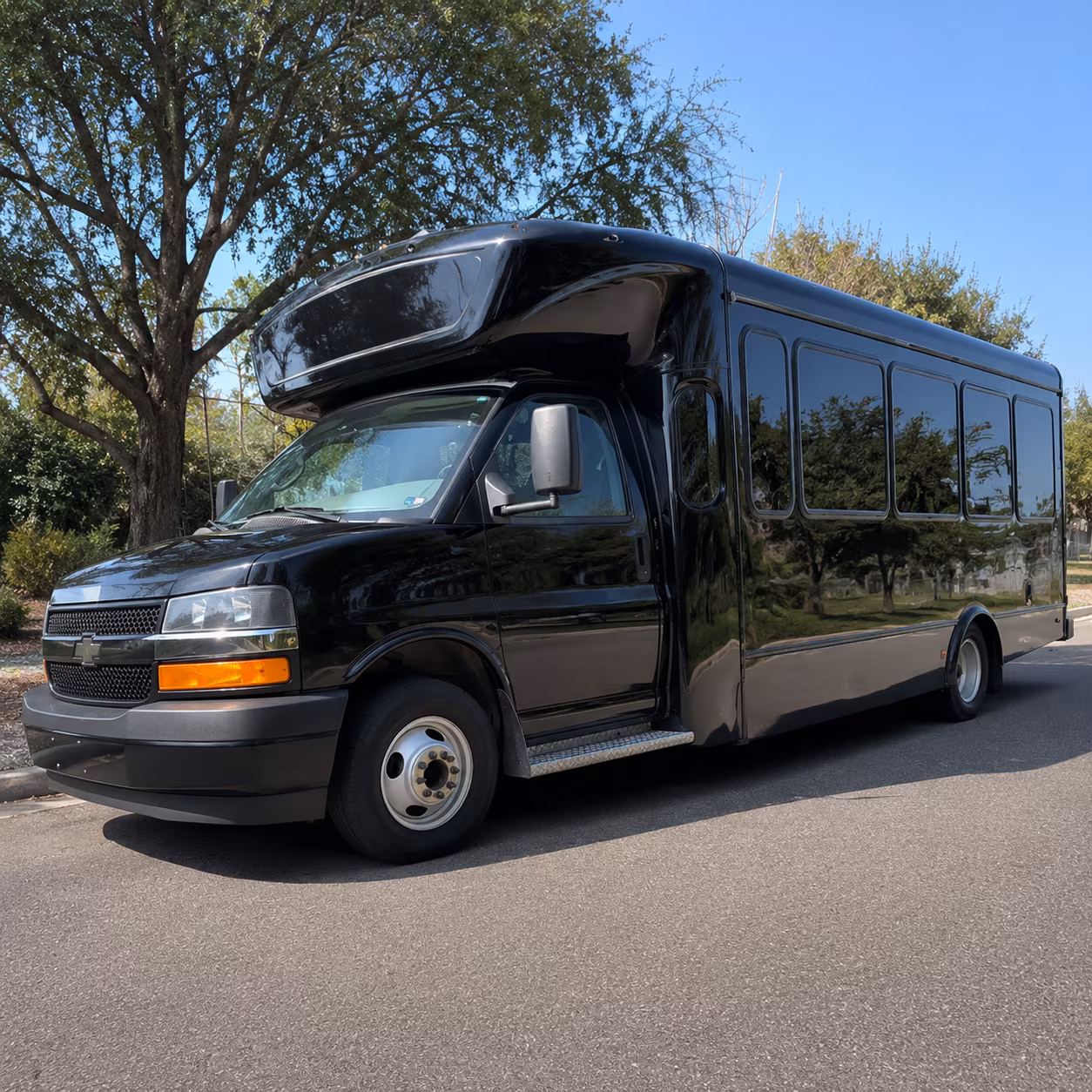 Group beside a Mercedes Sprinter limo in Frisco