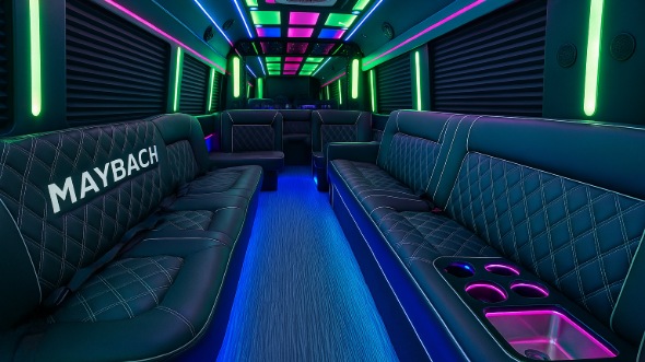 plano 20 passenger party bus